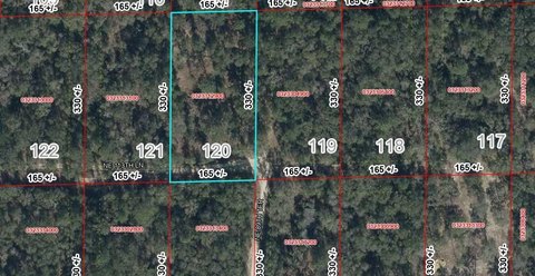 Land, Bronson, FL