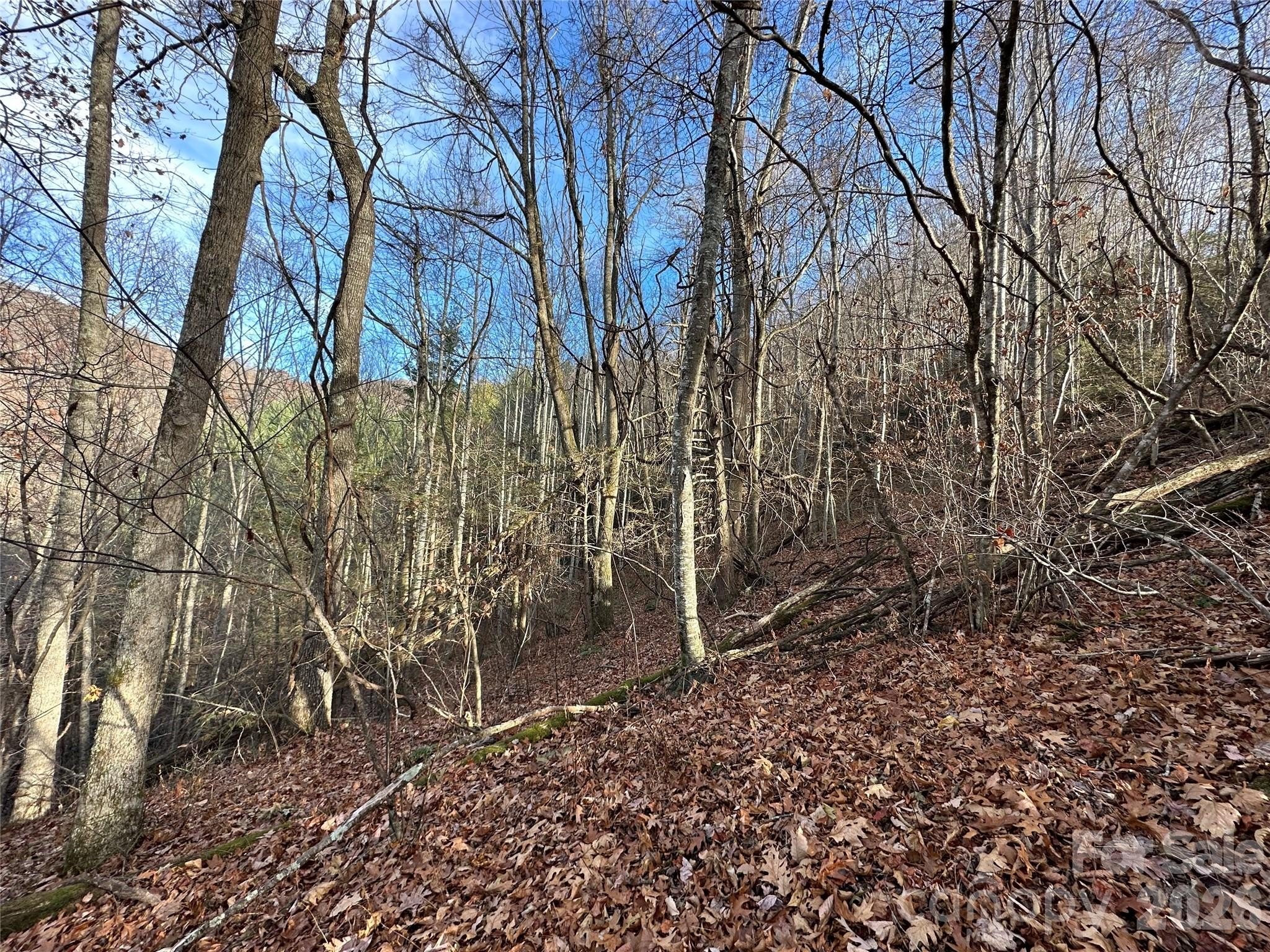 Land in Rock House Cove