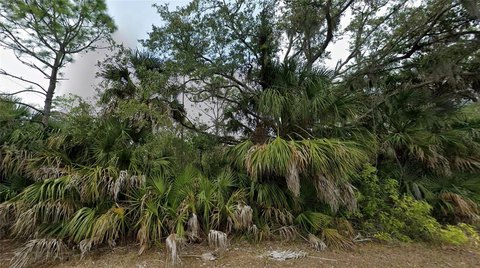 Land, PORT CHARLOTTE, FL