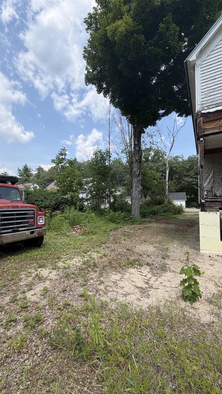 Picture 8