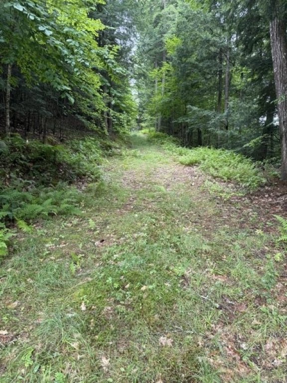 Picture 6