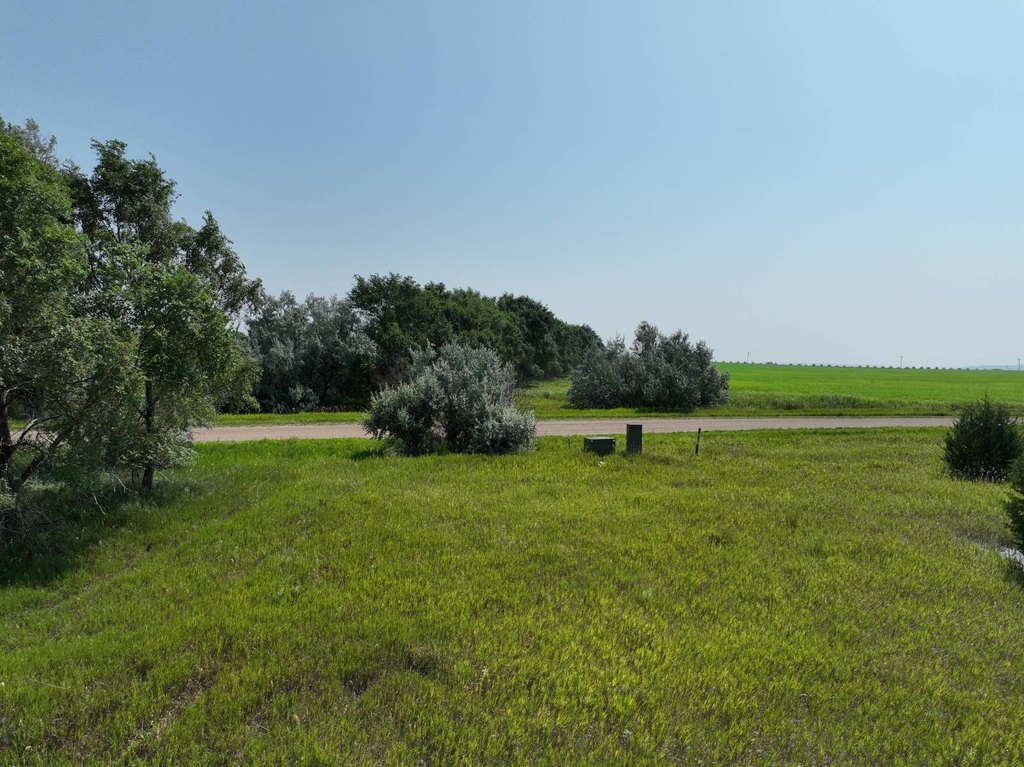 Picture 37