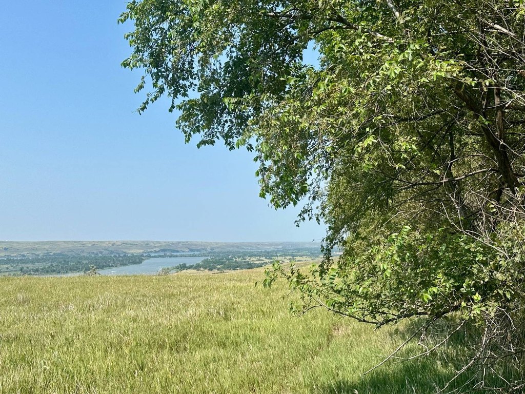 Picture 43
