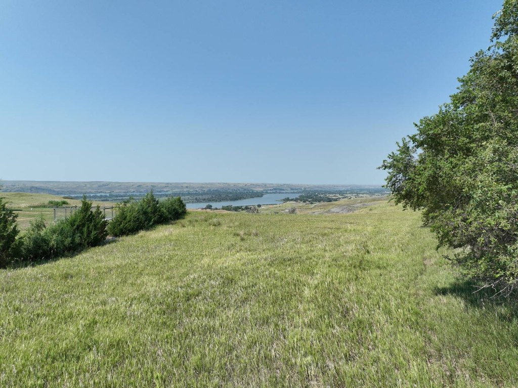 Picture 39