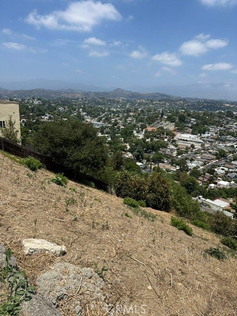 Picture 7
