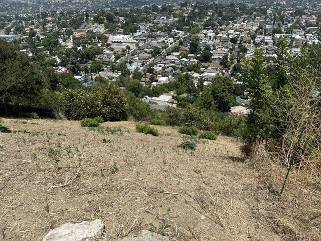 Picture 4
