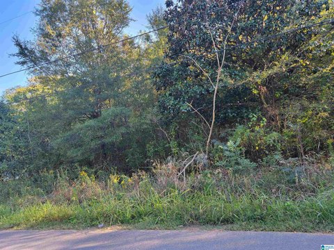 LAND - BESSEMER, AL