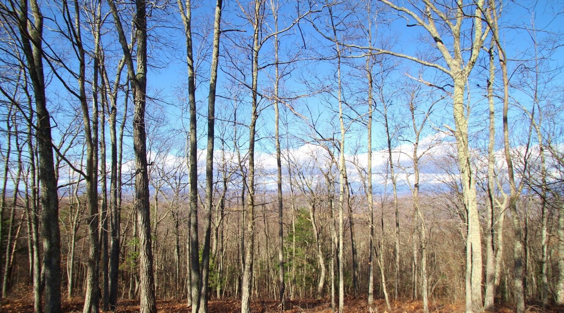 Residential Land in Gated Community