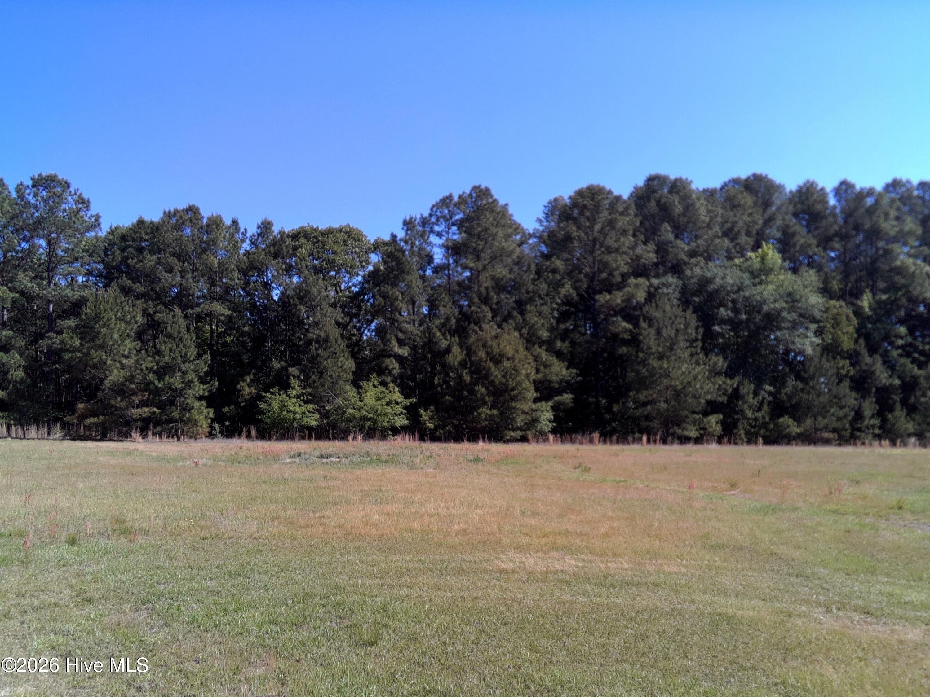 Expansive Vacant Land in Carthage