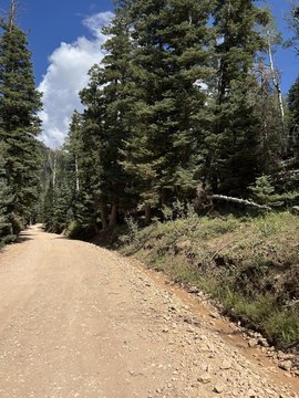 LAND - Duck Creek, UT