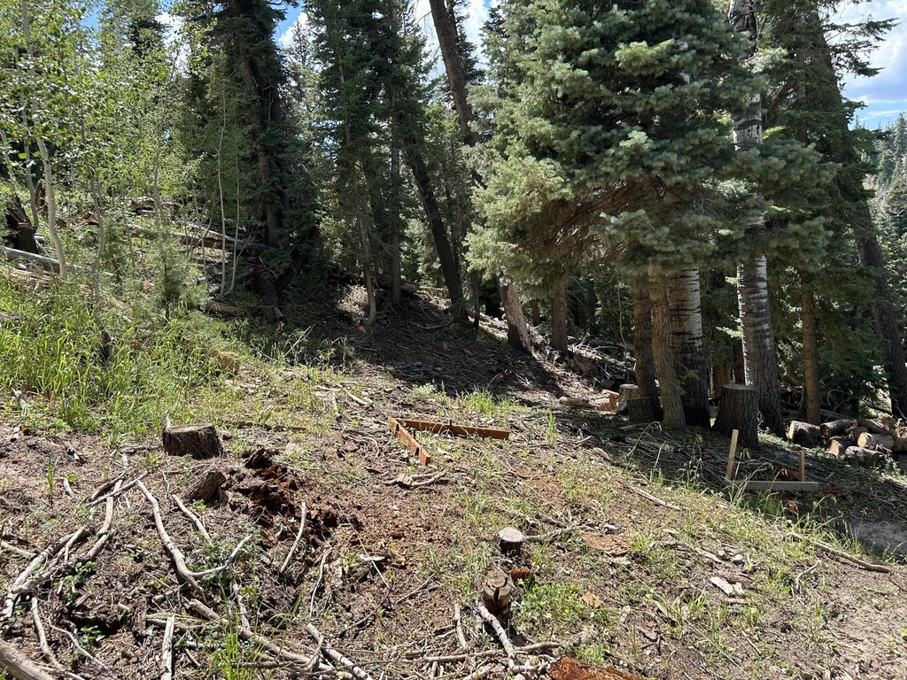 Picture 5