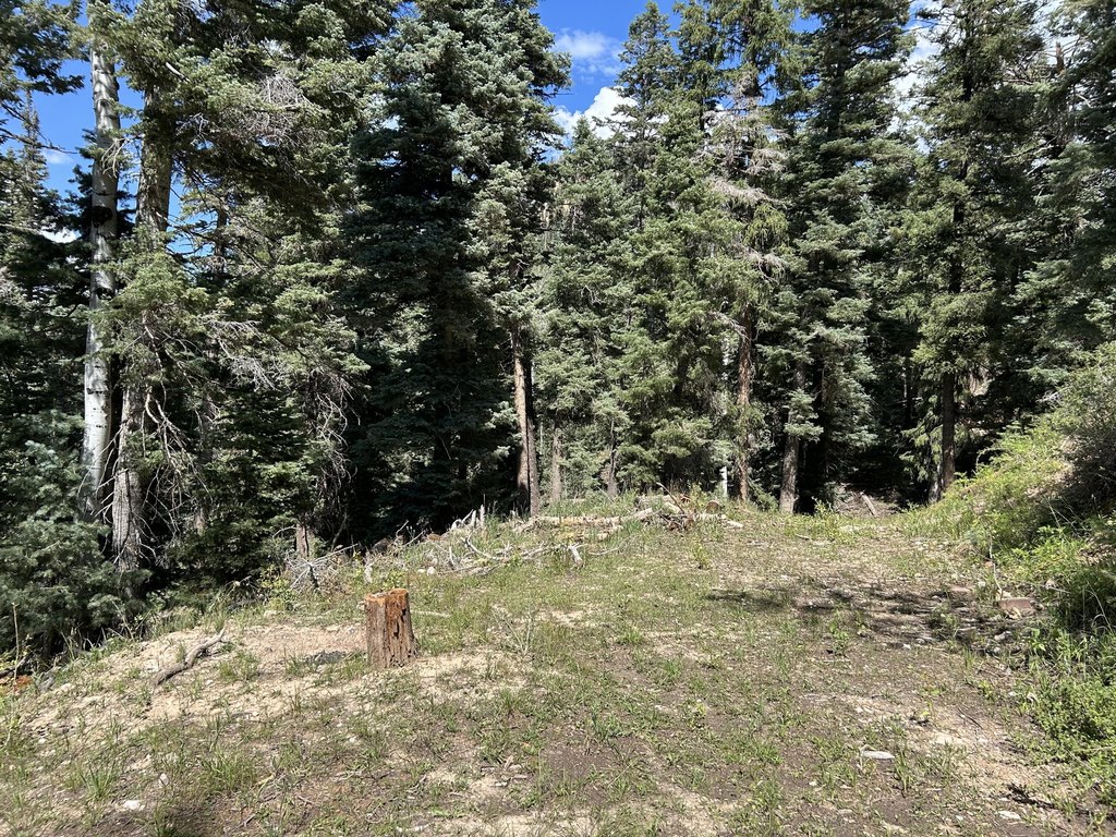 Picture 4