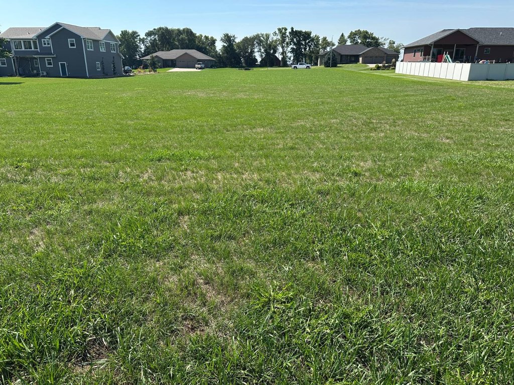 Picture 4