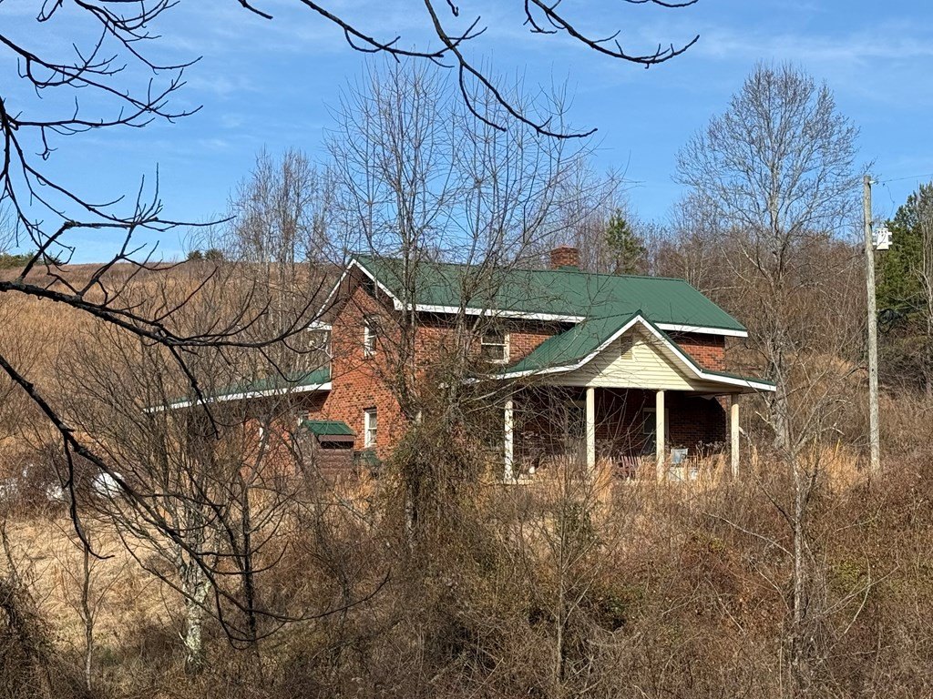 Picture 21