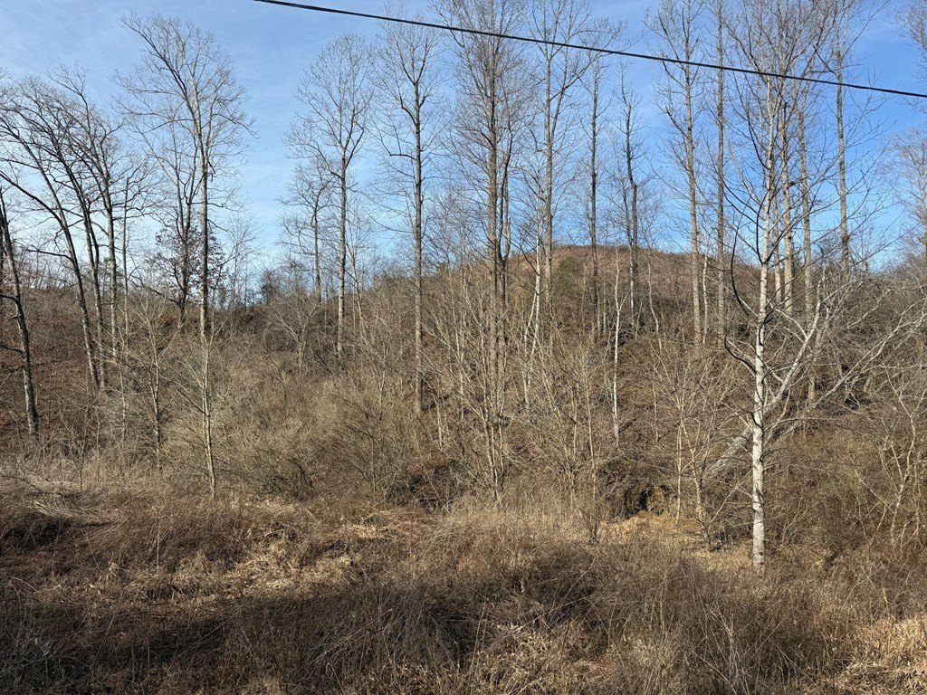 Picture 25