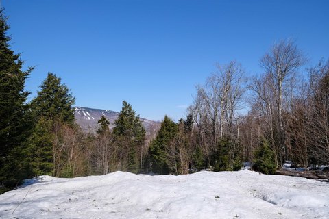 Residential Land with Okemo Views