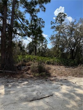 Oversized Lot in Labelle, FL