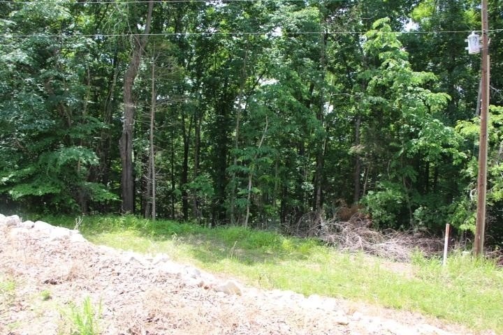 Picture 38