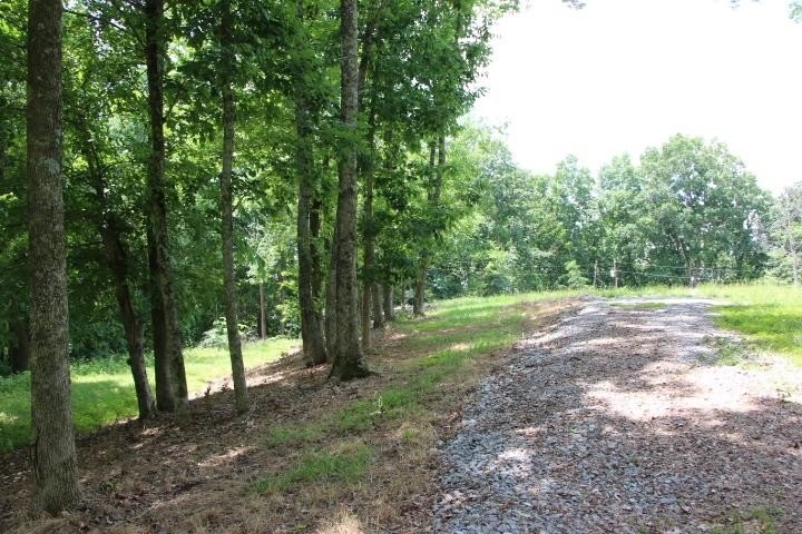 Picture 47