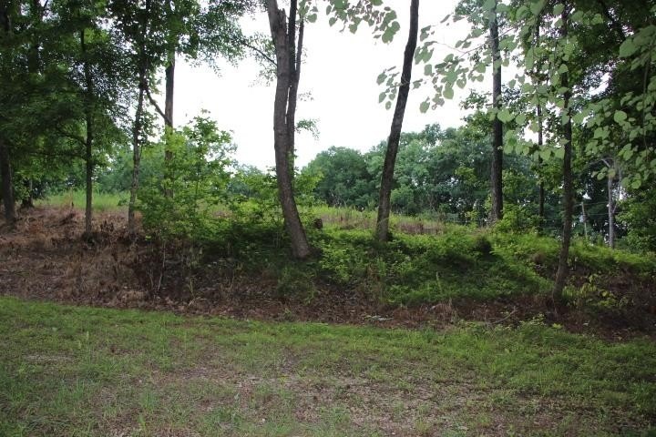 Picture 23
