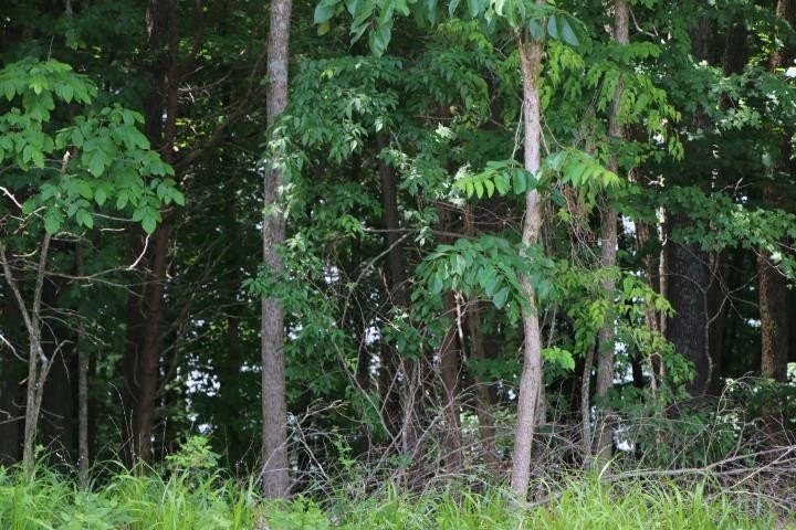 Picture 28