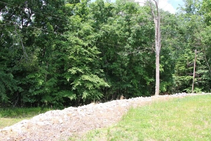 Picture 36