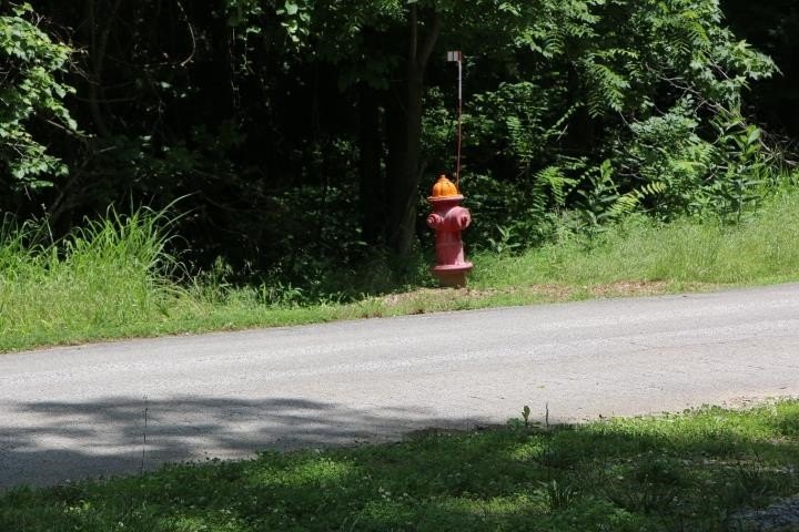 Picture 43