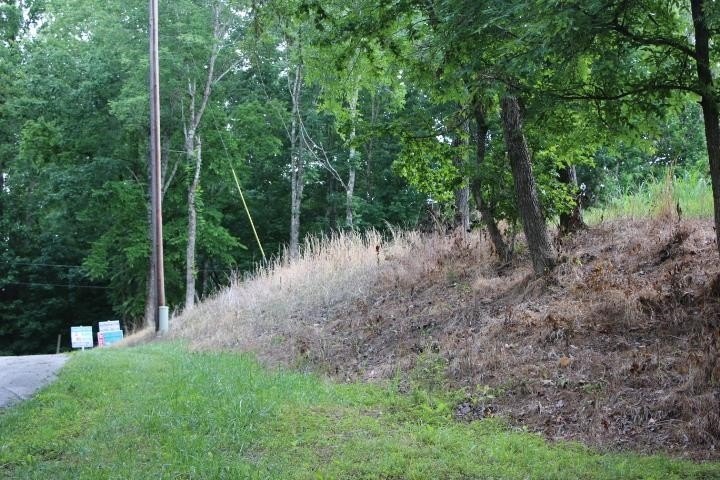 Picture 19