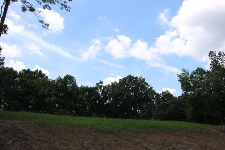Picture 25