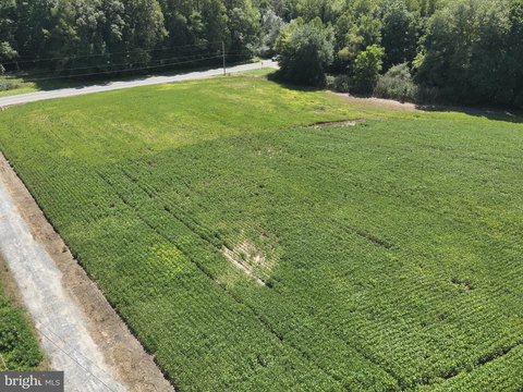 Cleared Land Near Snow Hill