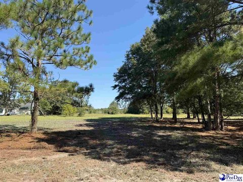 Land, Dillon, SC