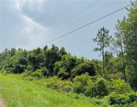 Wooded Lot in West Mobile