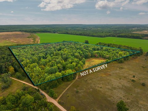 Wooded Recreational Land with Pole Building