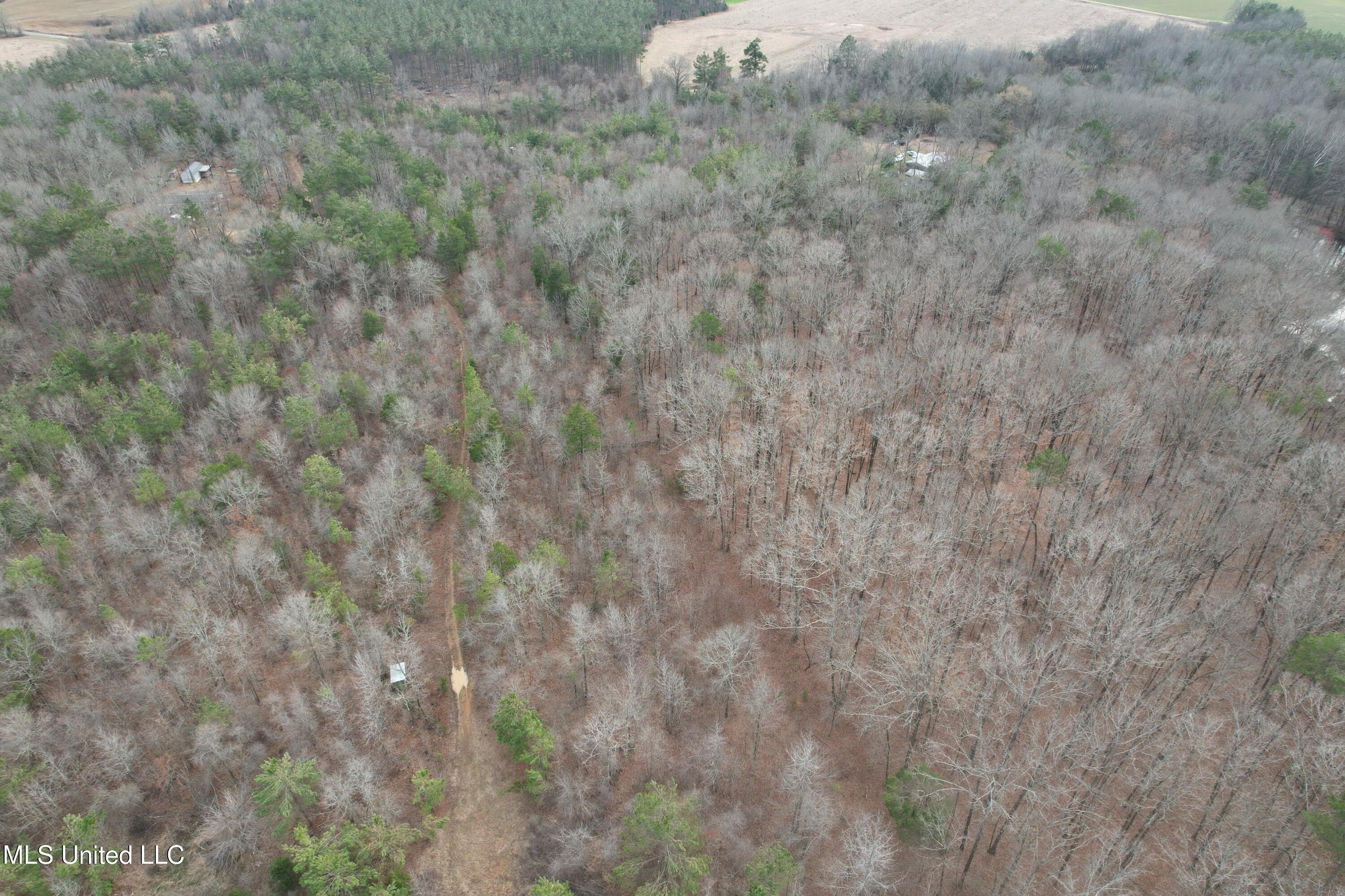 Affordable Hunting Land in Duck Hill