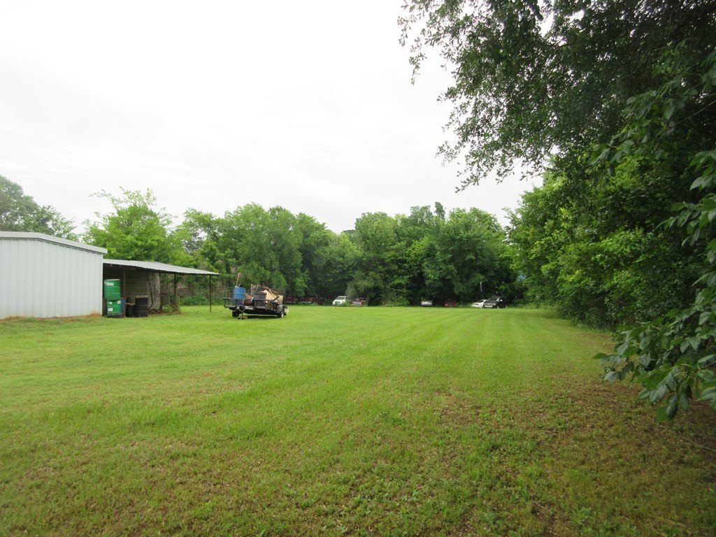 Picture 17