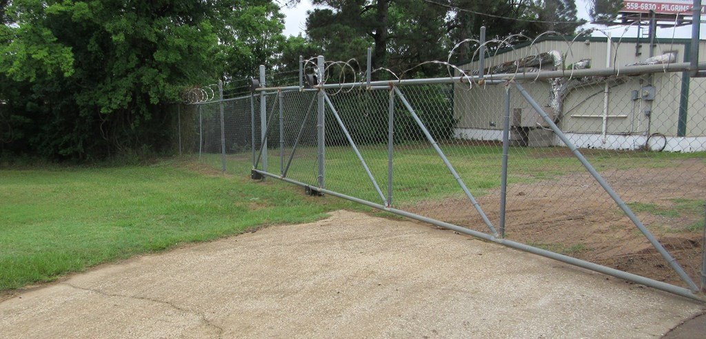 Picture 11