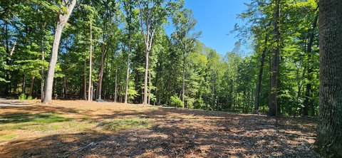 Land, Moneta, VA