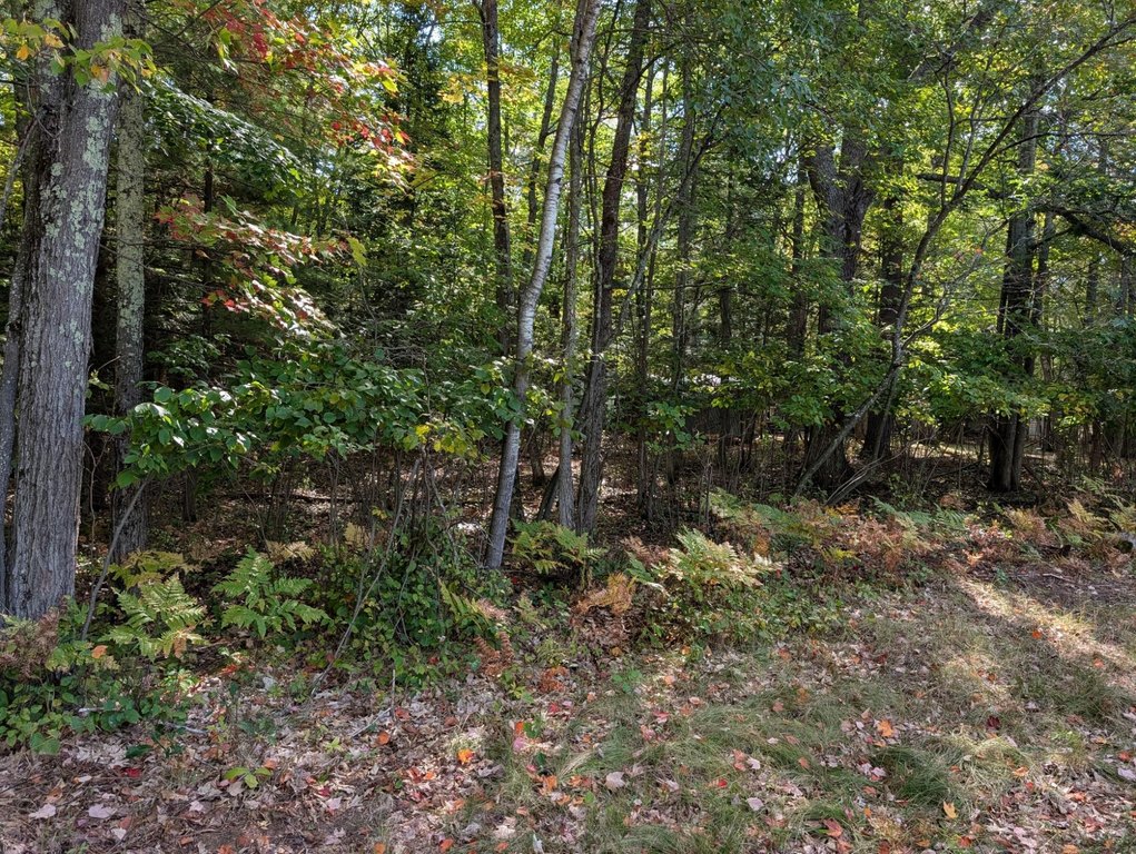 Picture 3