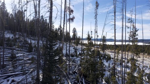 Georgetown Lake Mountain View Lot