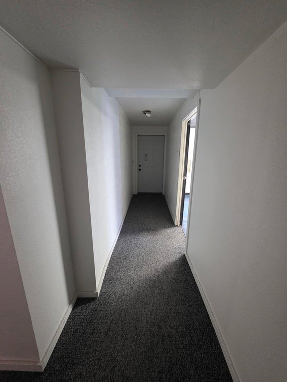Picture 38
