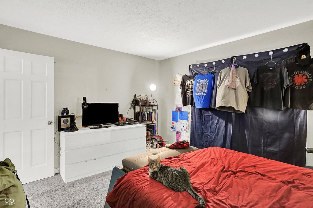 Picture 17