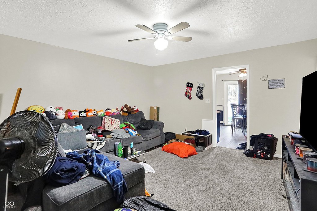 Picture 19