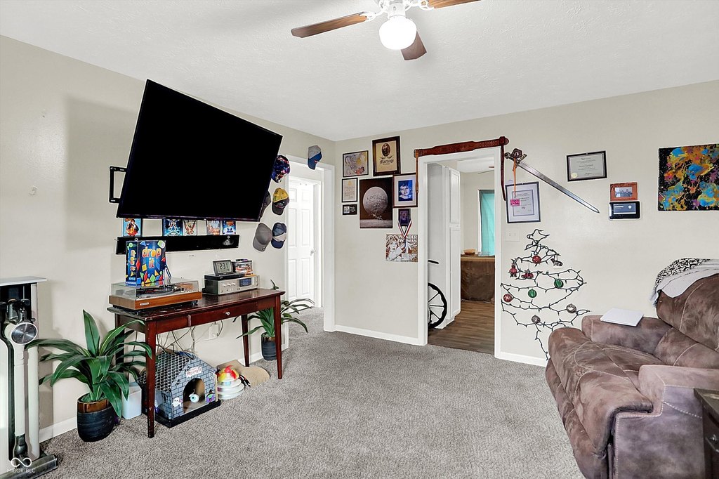 Picture 7