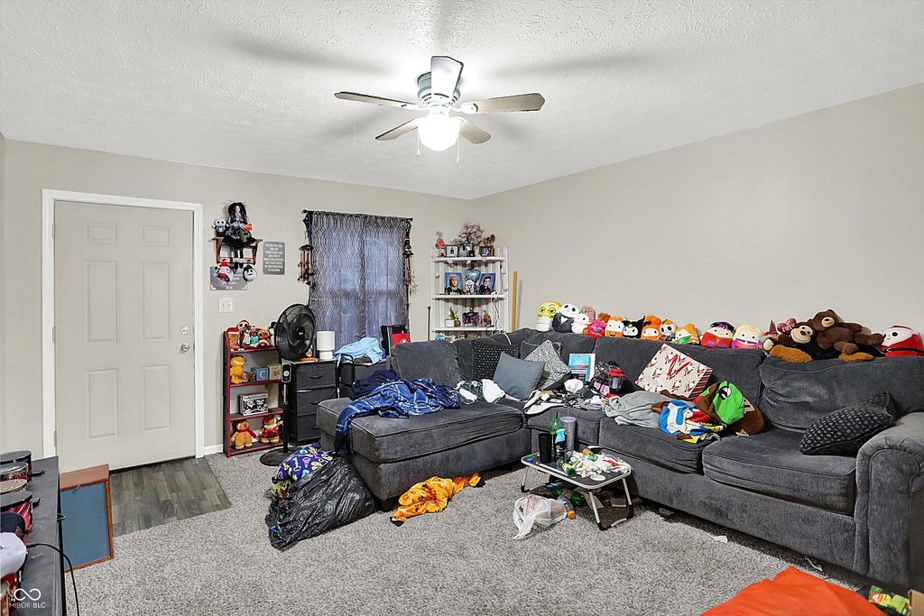 Picture 18