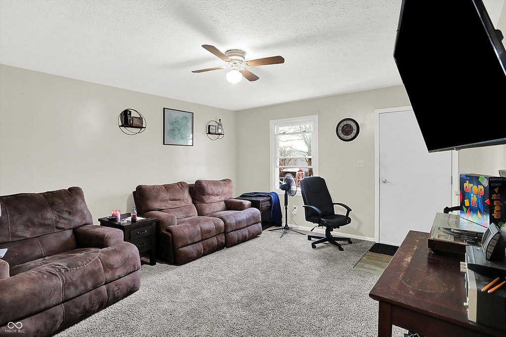 Picture 5