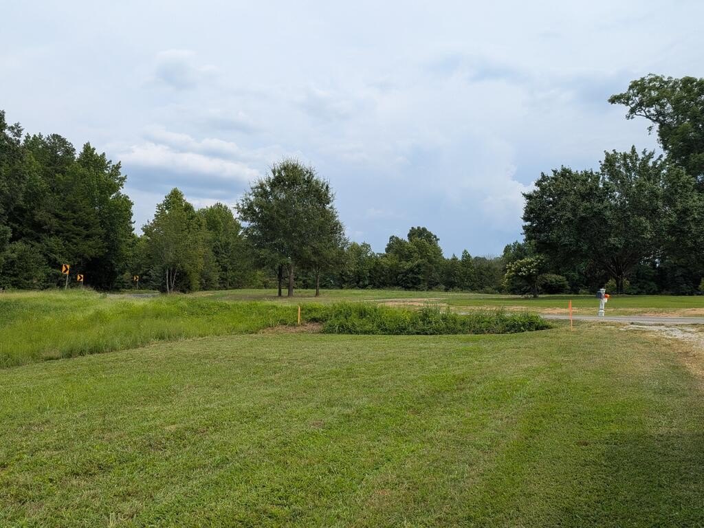 Picture 13