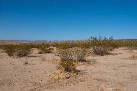 Vacant Land in 29 Palms