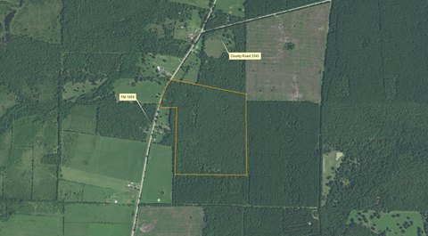 Wooded Land with Highway Access