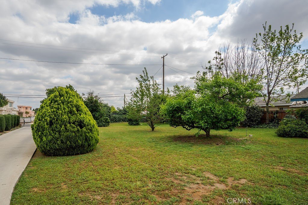 Picture 46