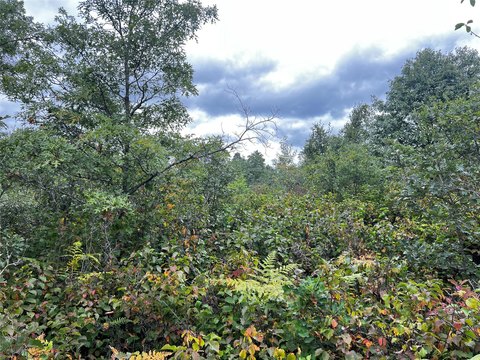 Land, Minong, WI